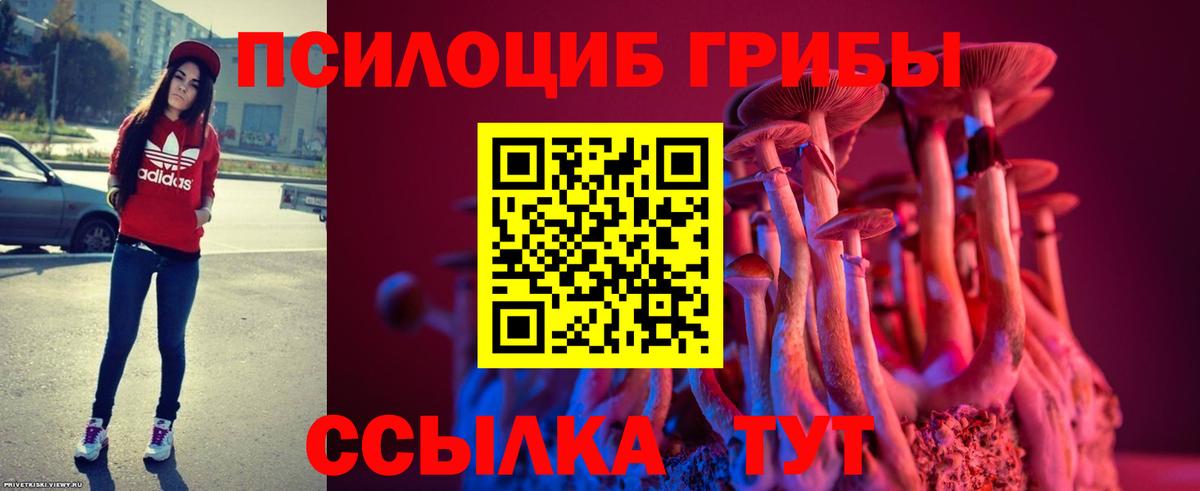 Псилоцибиновые грибы ЛСД  Вход с VPN  Галлюциногенные грибы Cubensis  Шахты 